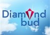    (Diamond Bud)