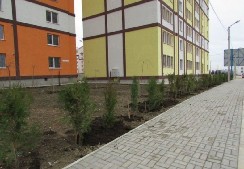 �� ����������, �. �����������